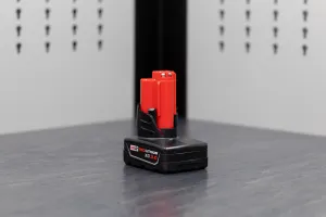 Milwaukee M12™ Batteries: REDLITHIUM™ (2.0-6.0)