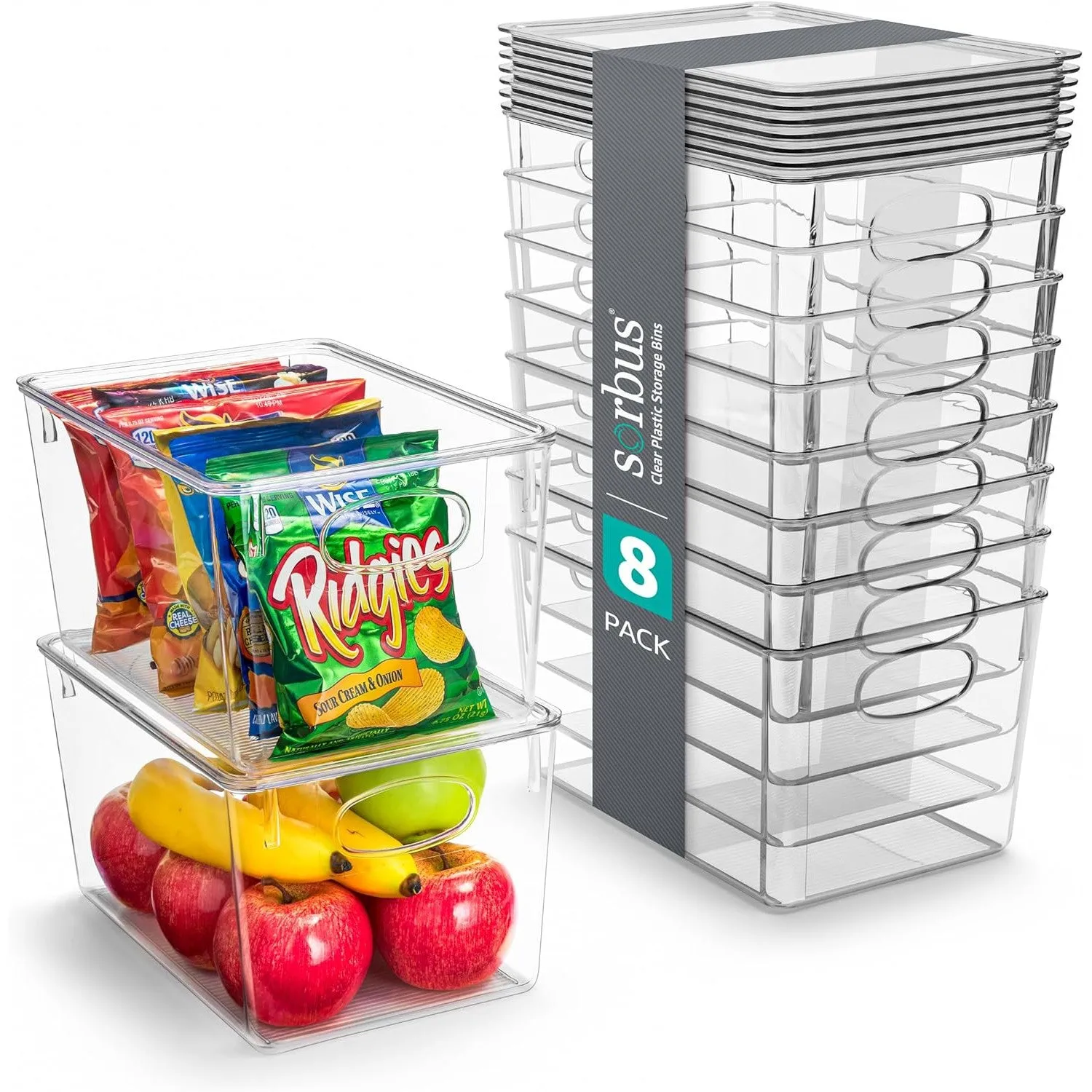 Plastic Container Bins with Lids