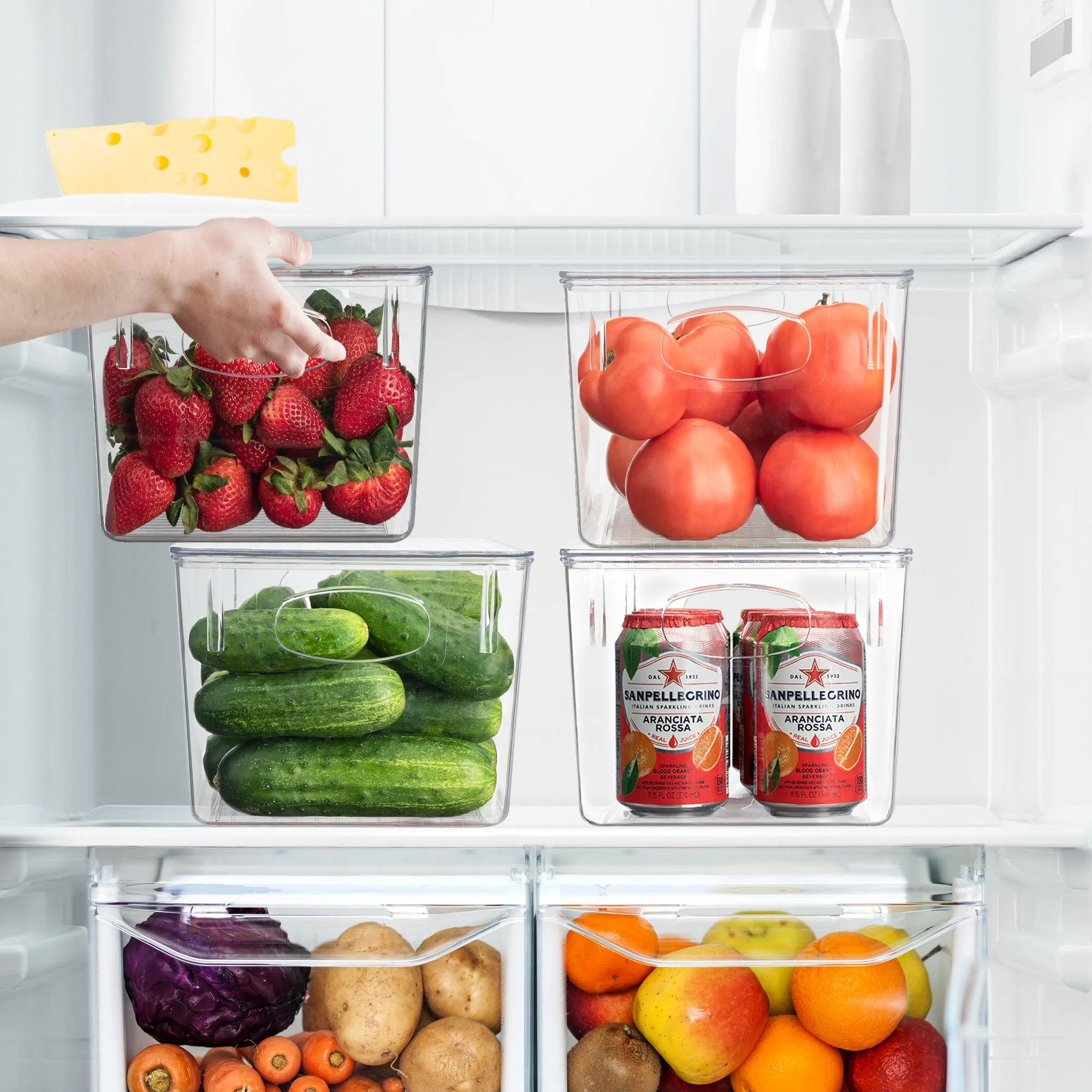 Plastic Container Bins with Lids