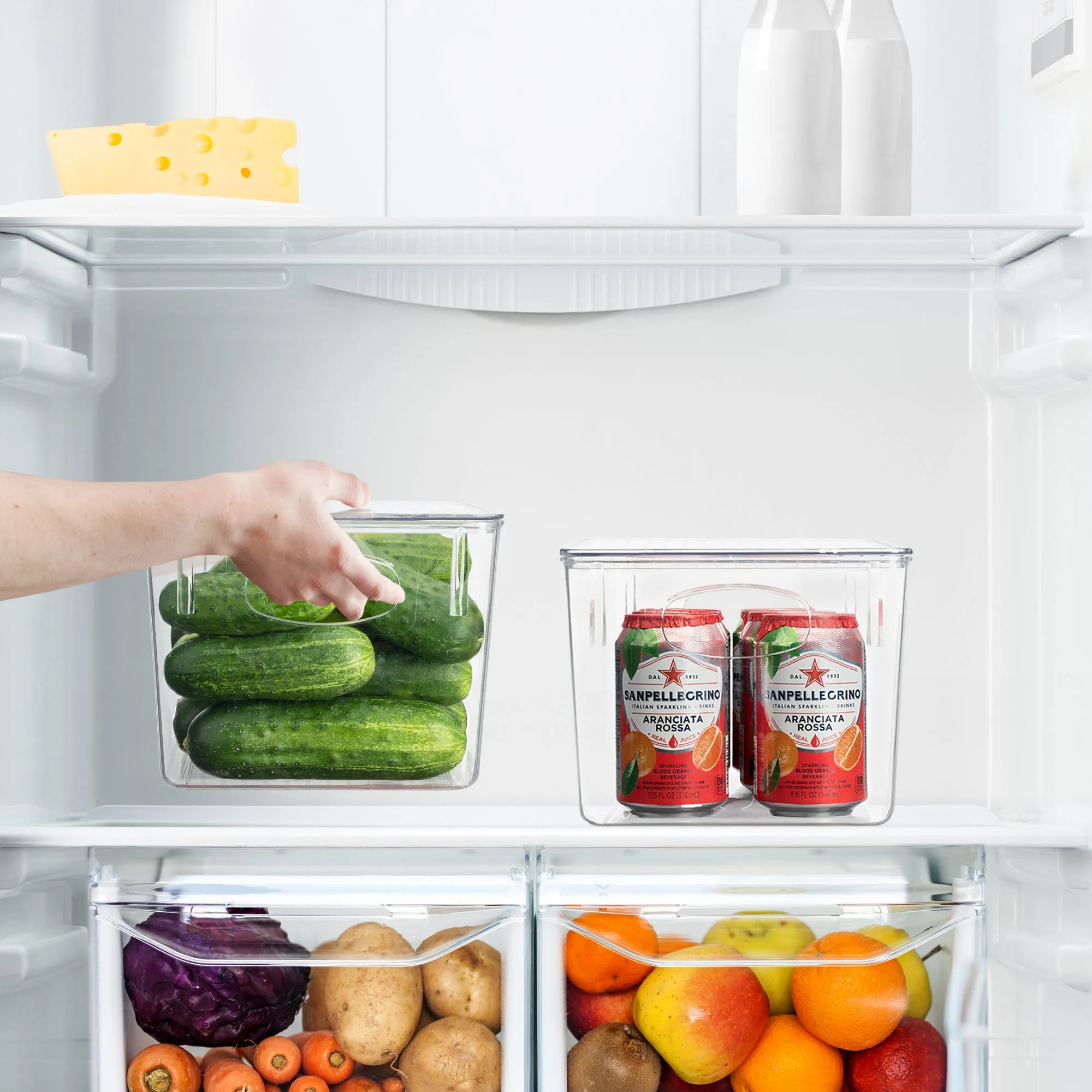 Plastic Container Bins with Lids