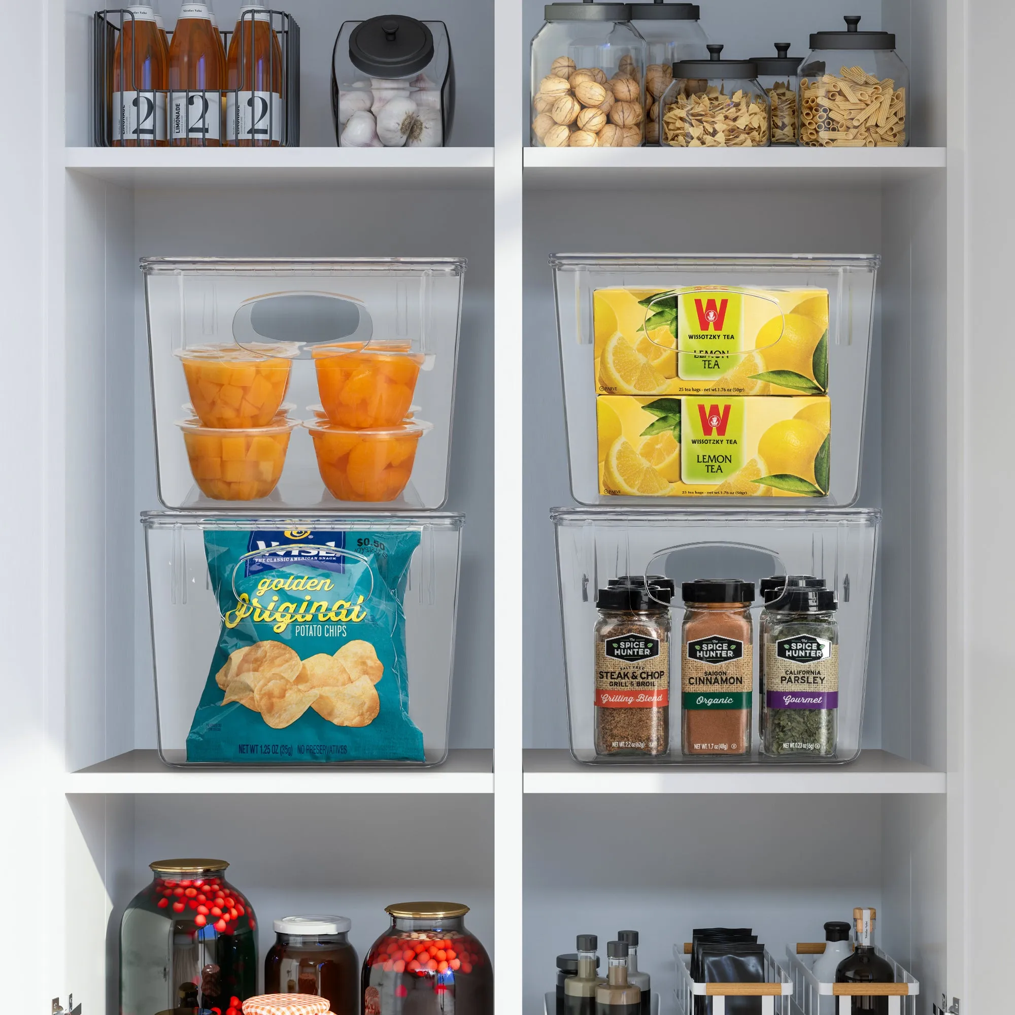 Plastic Container Bins with Lids
