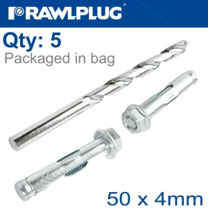 RAWLPLUG GARDEN GATE KIT KT10050 X4 WITH 10MM DRILL RAW R-PDS-GAR