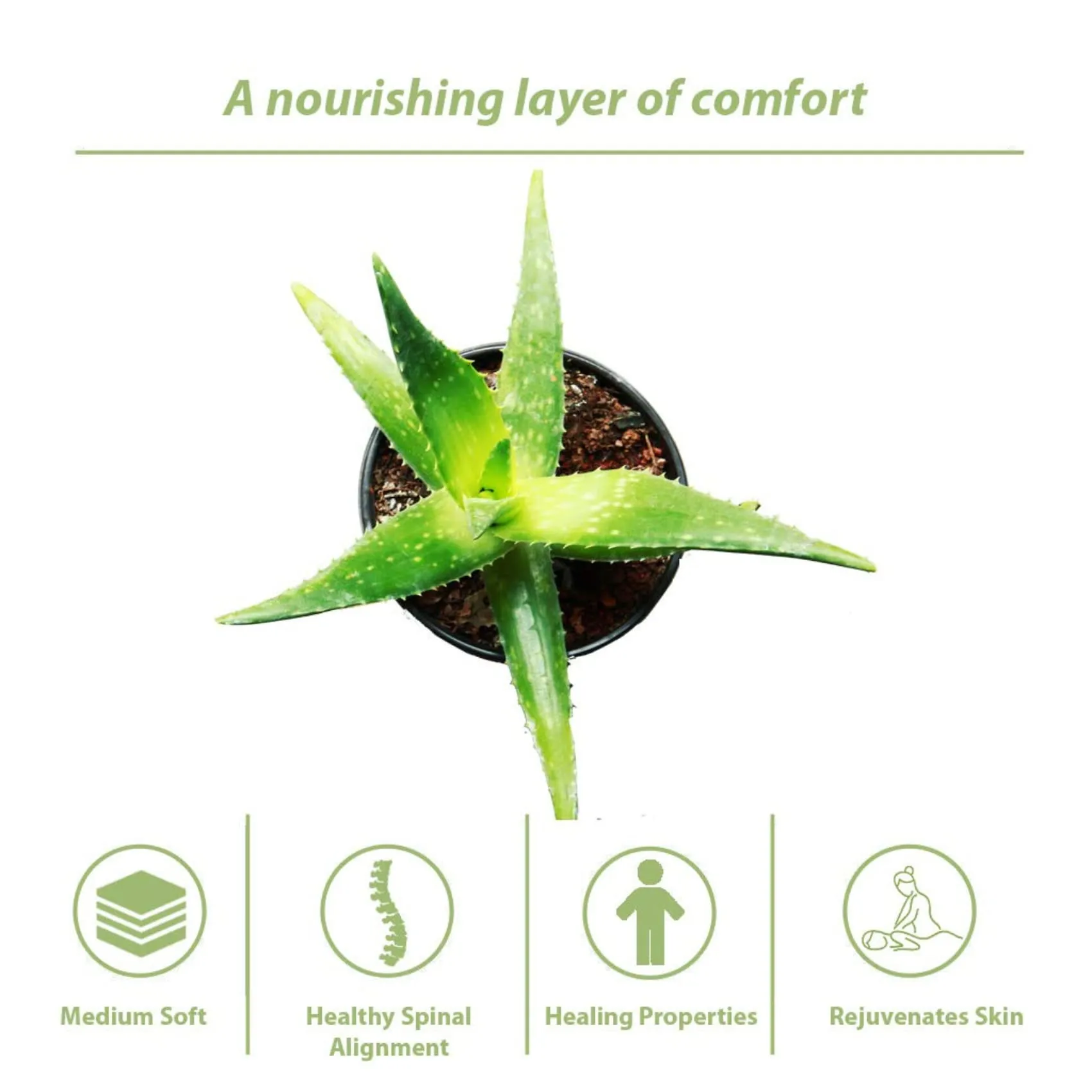 SLEEPSPA by COIRFIT Nature Rest Aloe Vera Fabric with HerbFRESH��Technology 6' Inch Queen Size Memory Foam Mattress (72 x 60 x 6)